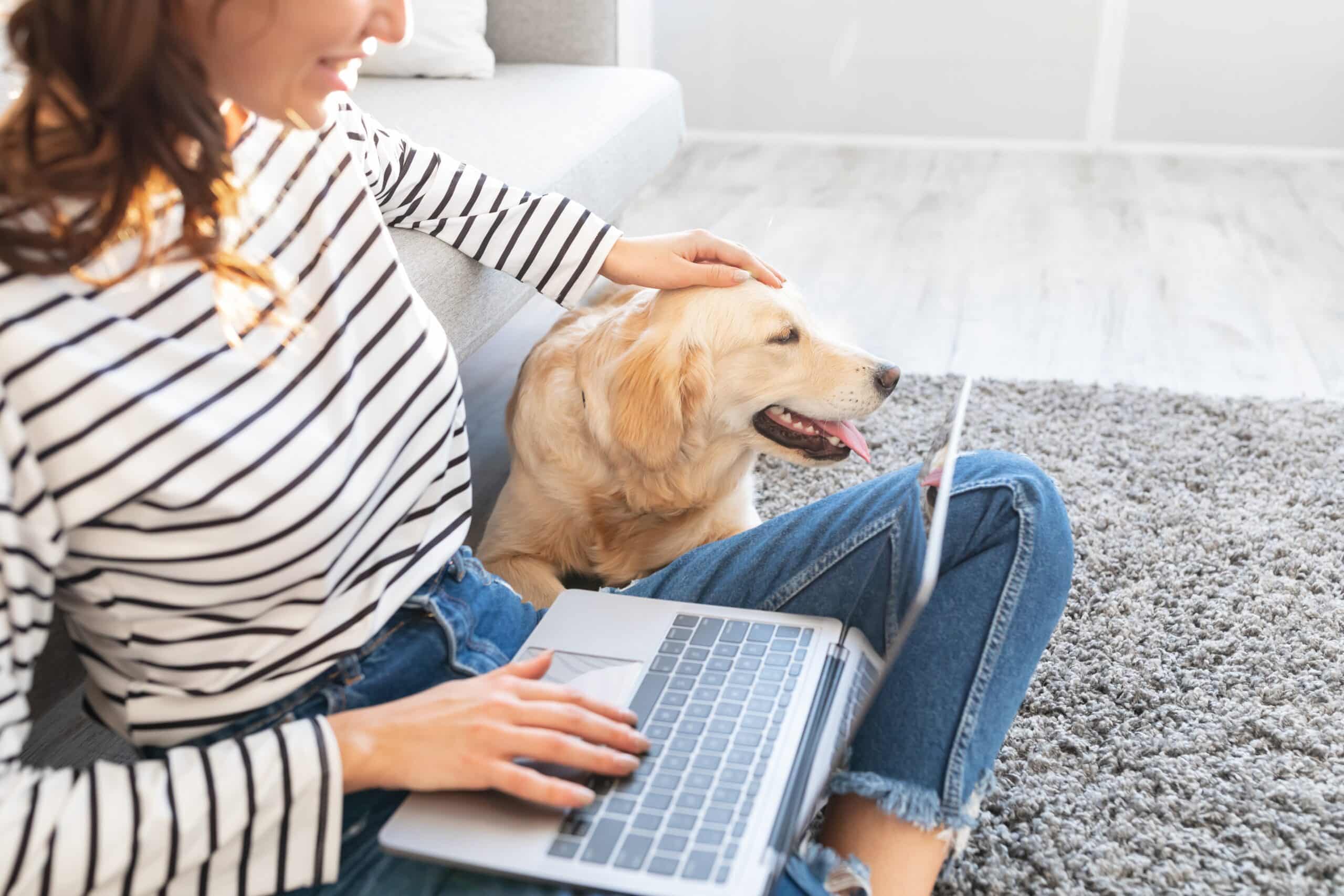 junge Frau mit Laptop auf dem Schoss streichelt Hund