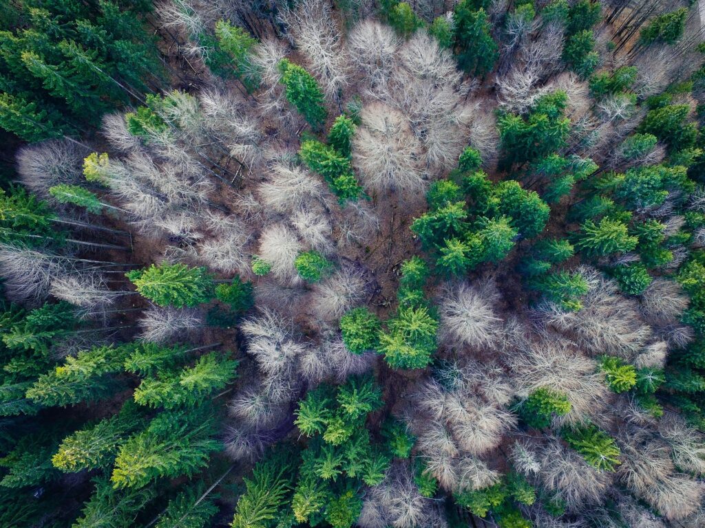 Das Beitragsbild zum Thema "Storytelling in der Klimakommunikation"