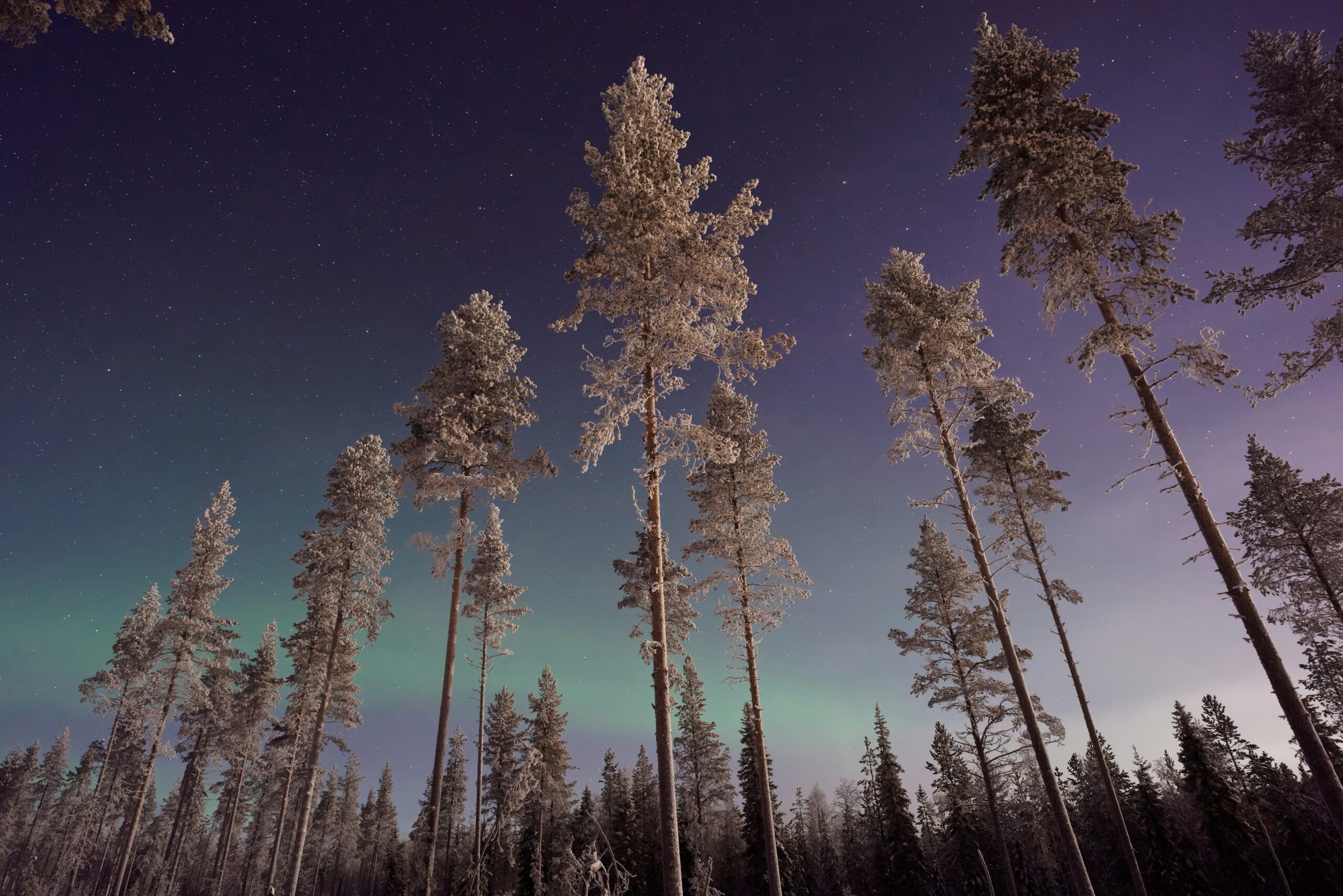 Planet Storytelling: Finnland